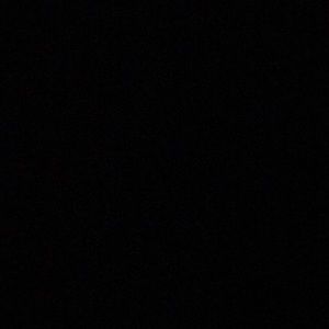 Meet your Posher, Rylie